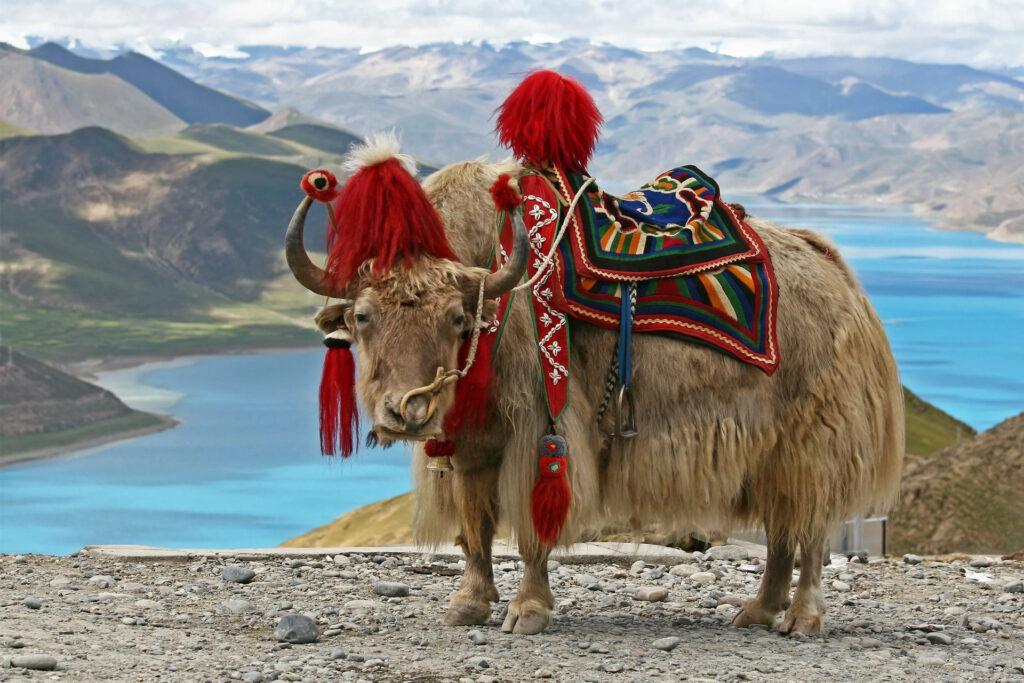 bhutan