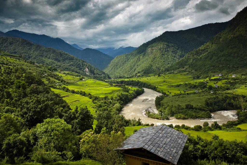 tigers bhutan